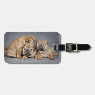 Cute Shar Pei Puppies Luggage Tag