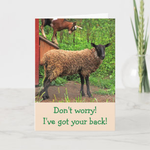 Cute Sheep And Goat Get Well Card