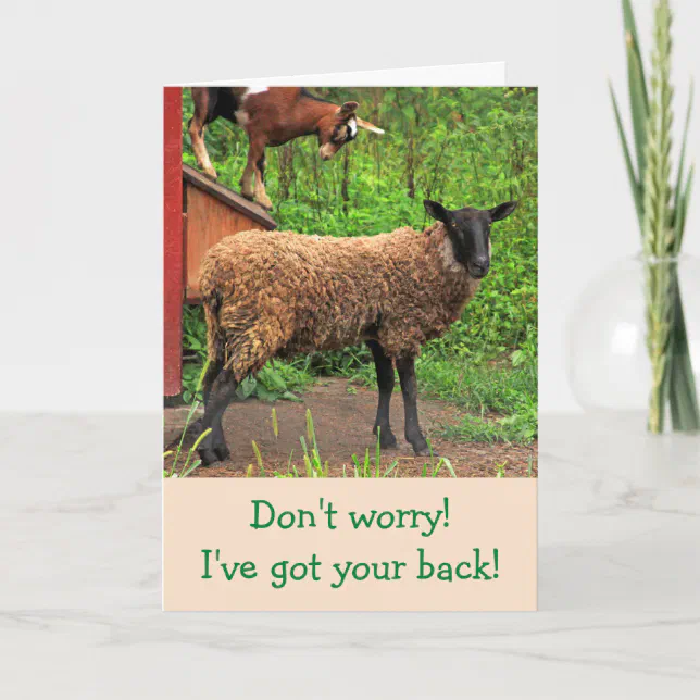 Cute Sheep And Goat Get Well Card | Zazzle