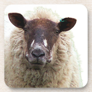 CUTE SHEEP BEVERAGE COASTER