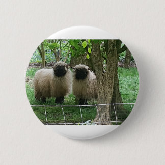 Cute Sheep Button