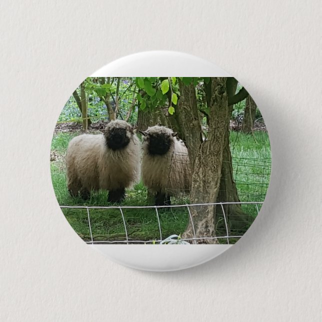 Cute Sheep Button (Front)