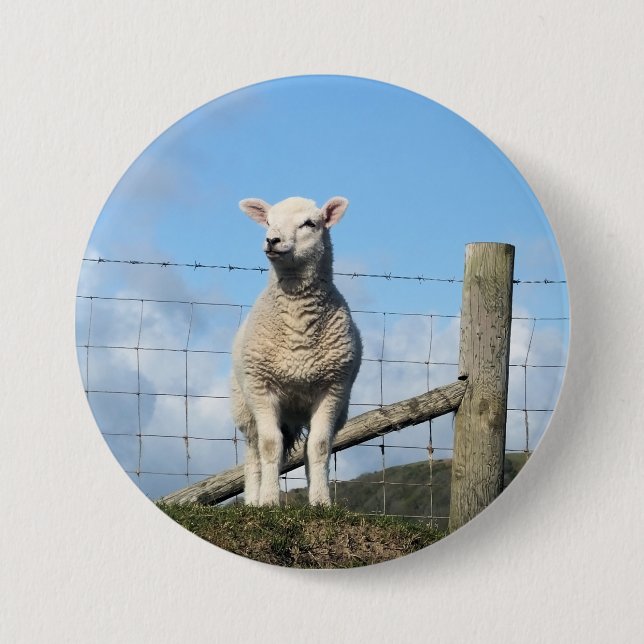 CUTE SHEEP BUTTON (Front)
