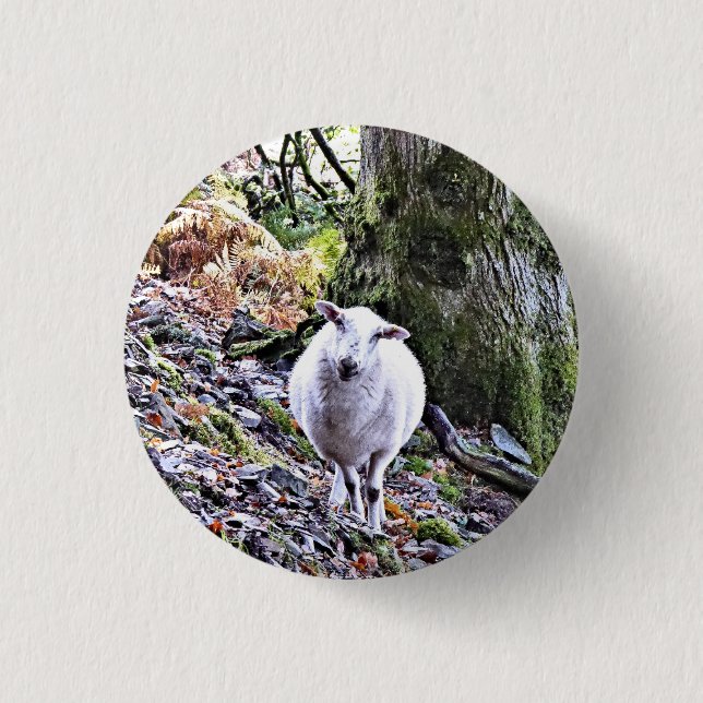 CUTE SHEEP BUTTON (Front)