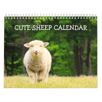 Cute Sheep Calendar