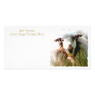 CUTE SHEEP CARD