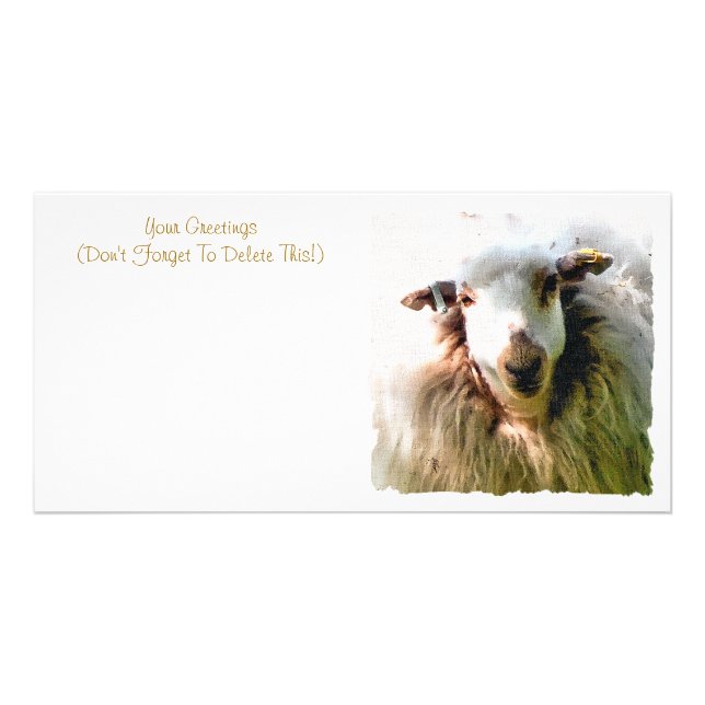 CUTE SHEEP CARD (Front)