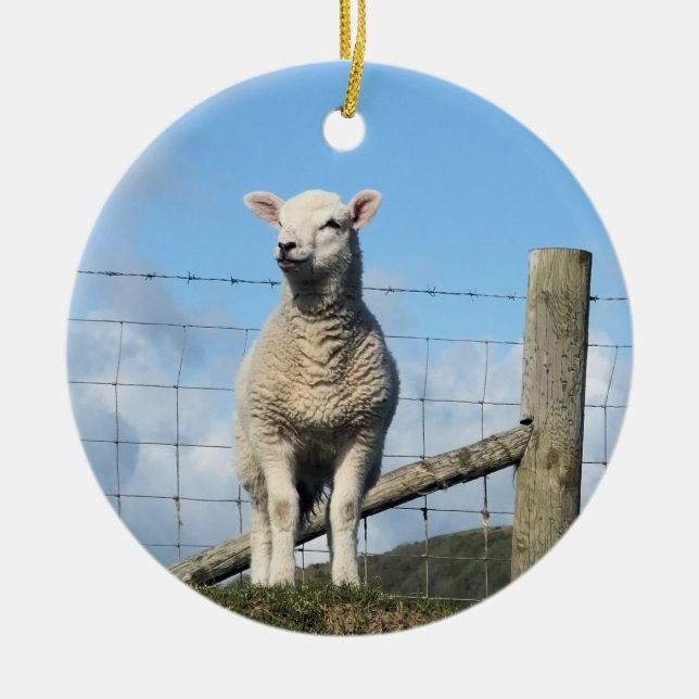 CUTE SHEEP CERAMIC ORNAMENT (Front)