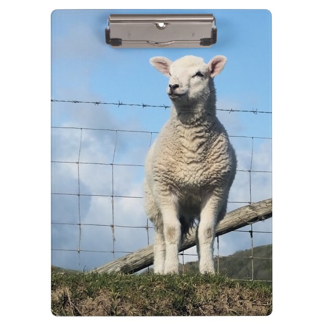 CUTE SHEEP CLIPBOARD (Front)