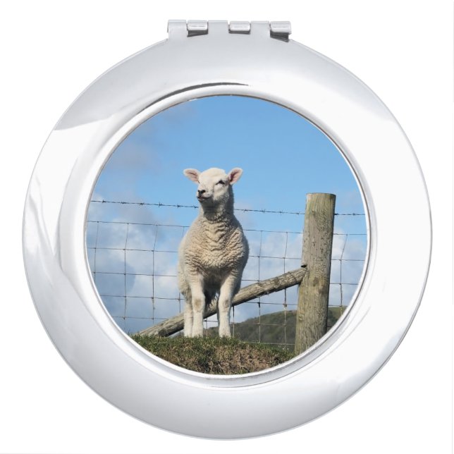 CUTE SHEEP COMPACT MIRROR (Front)