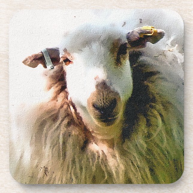 CUTE SHEEP DRINK COASTER (Front)
