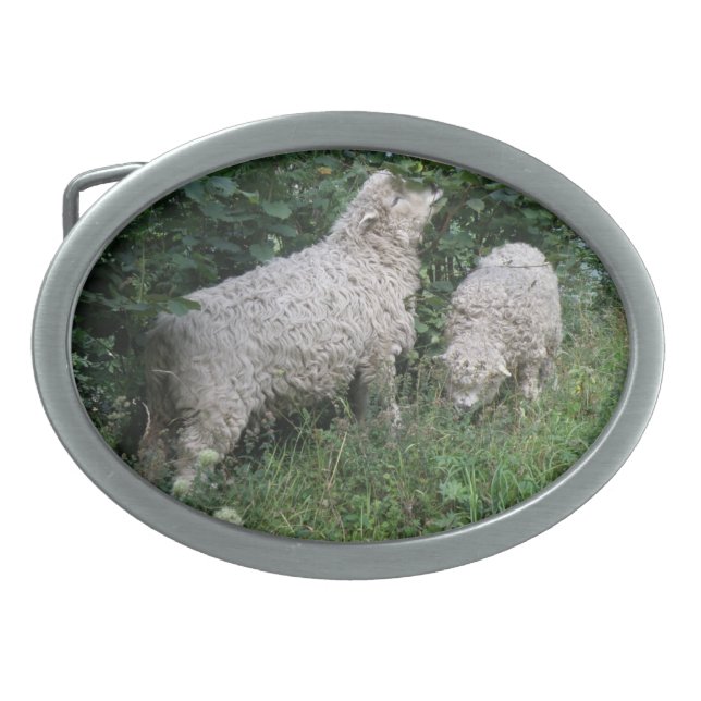 Cute Sheep Eating Leaves Belt Buckly Oval Belt Buckle (Front)