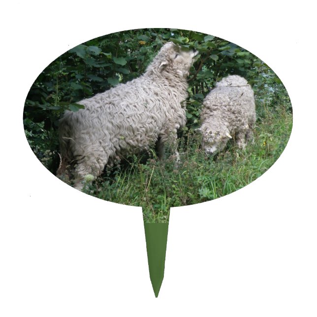 Cute Sheep Eating Leaves Cakepick (Front)