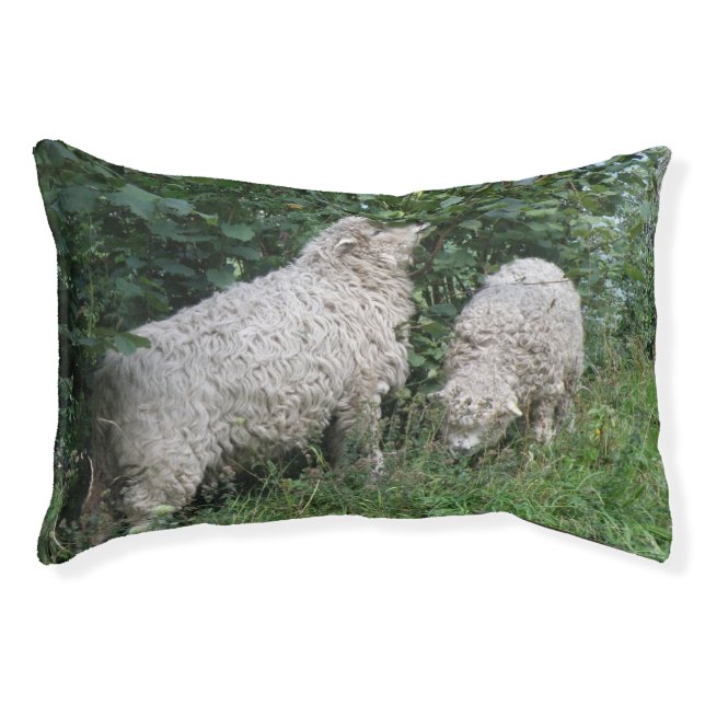Cute Sheep Eating Leaves Dog Bed (Front)