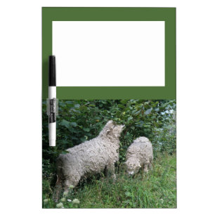 Cute Sheep Eating Leaves Dry Erase Board