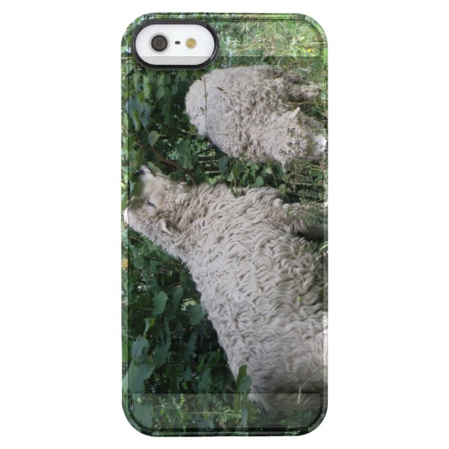 Cute Sheep Eating Leaves iPhone Case (Back)