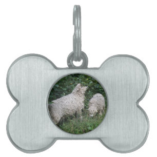 Cute Sheep Eating Leaves Pet Tag