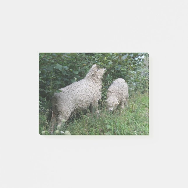 Cute Sheep Eating Leaves Post it notes Pad (Front)