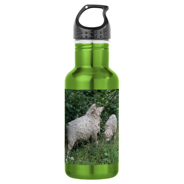 Cute Sheep Eating Leaves Water Bottle (Front)