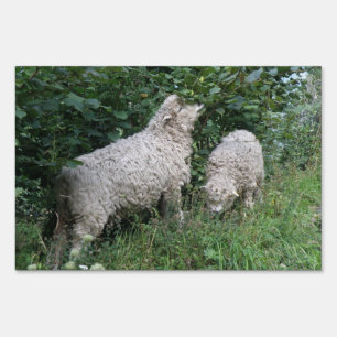 Cute Sheep Eating Leaves Yard Sign