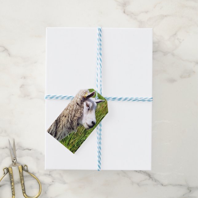 CUTE SHEEP GIFT TAGS (With Twine)