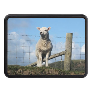 CUTE SHEEP HITCH COVER