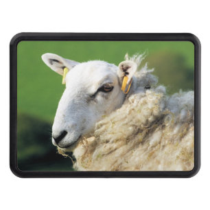 CUTE SHEEP HITCH COVER