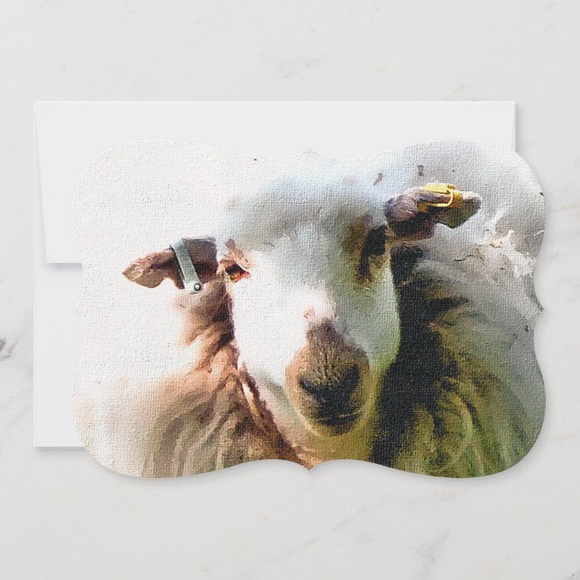 CUTE SHEEP Invitation (Front)