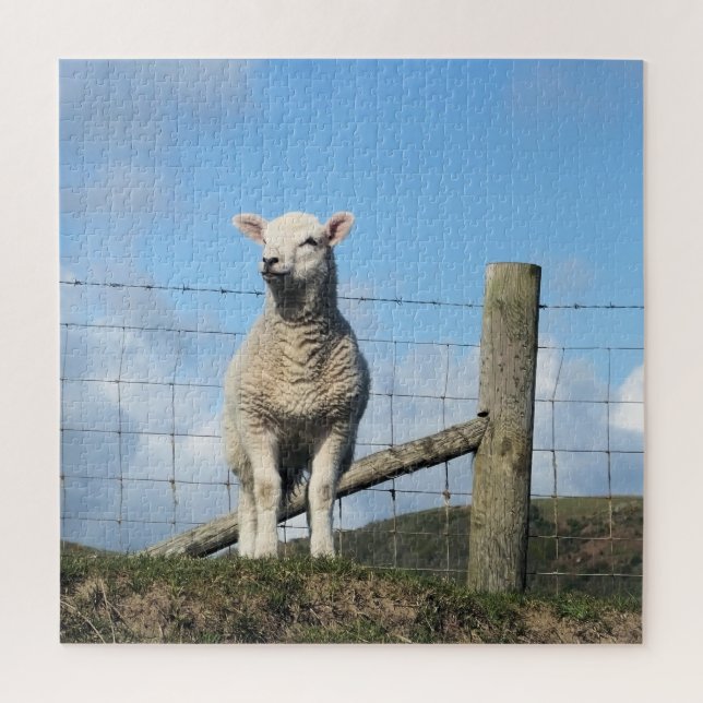 CUTE SHEEP JIGSAW PUZZLE (Vertical)