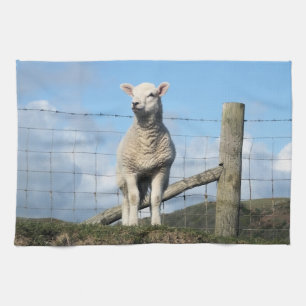 CUTE SHEEP KITCHEN TOWEL