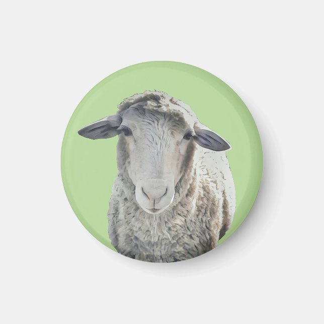 Cute Sheep Magnet (Front)