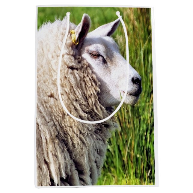 CUTE SHEEP MEDIUM GIFT BAG (Front)