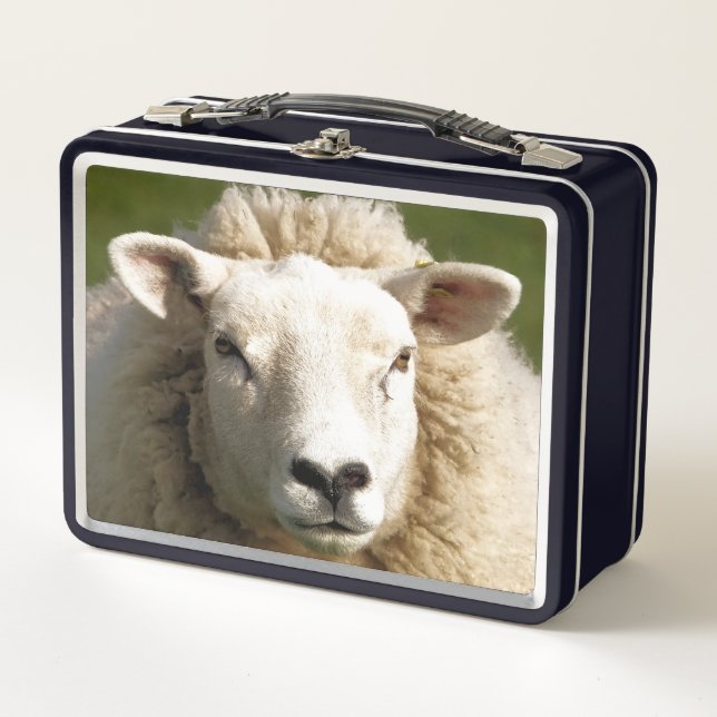 CUTE SHEEP METAL LUNCH BOX (Front)