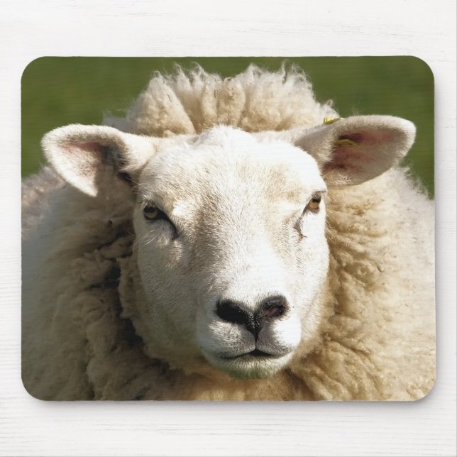 CUTE SHEEP MOUSE PAD (Front)