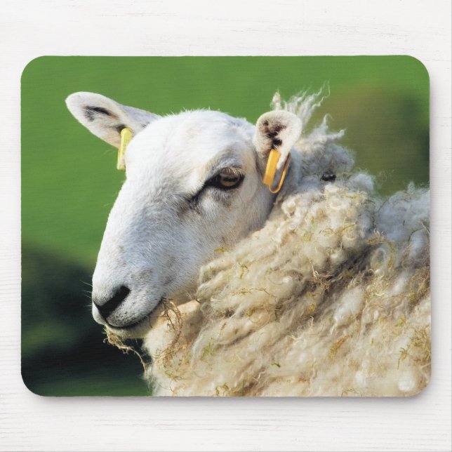 CUTE SHEEP MOUSE PAD (Front)