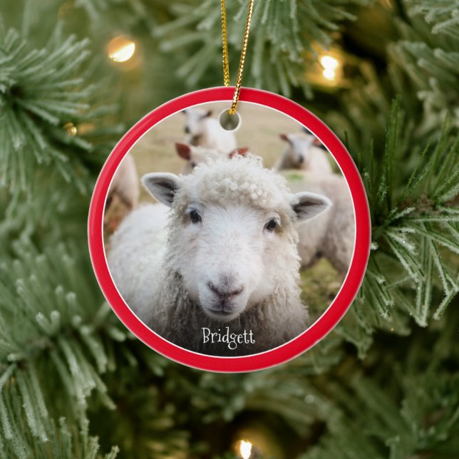 Cute Sheep Personalized Ceramic Ornament (Tree)