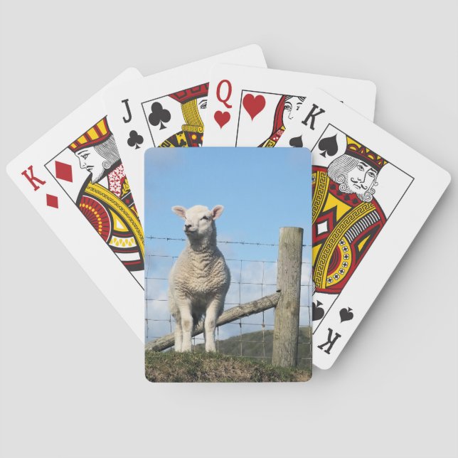 CUTE SHEEP POKER CARDS (Back)
