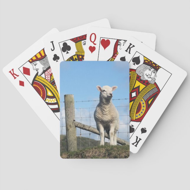 CUTE SHEEP POKER CARDS (Back)