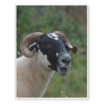 Cute Sheep Temporary Tattoos