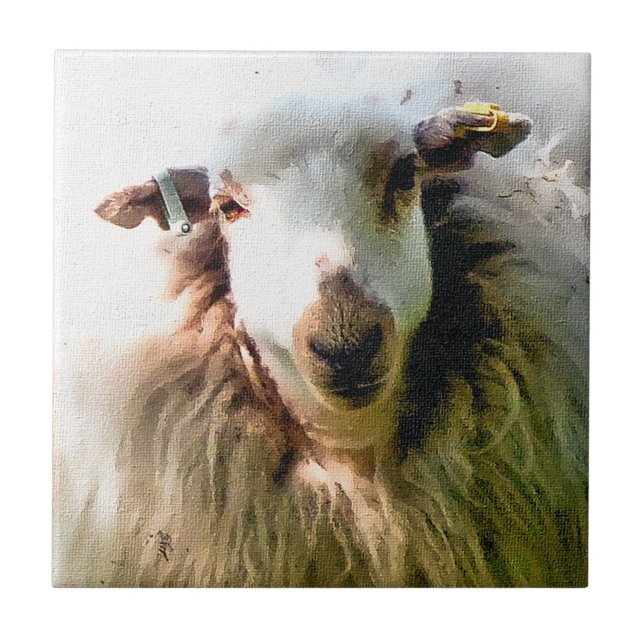 CUTE SHEEP TILE (Front)