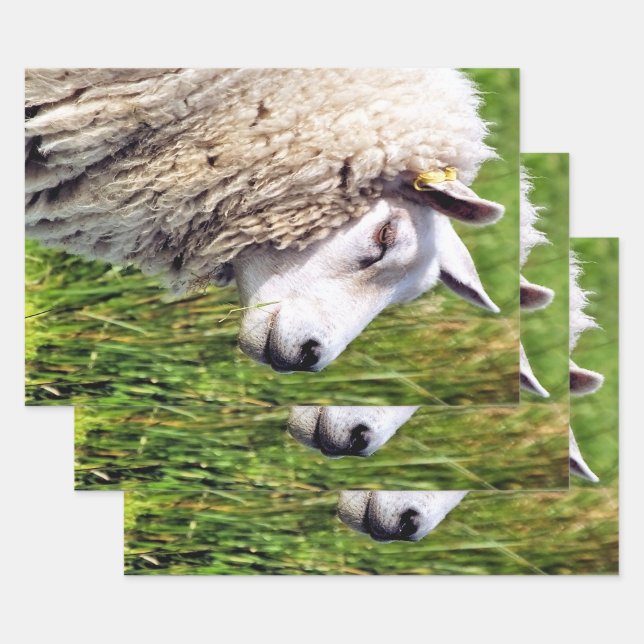 CUTE SHEEP WRAPPING PAPER SHEETS (Set)