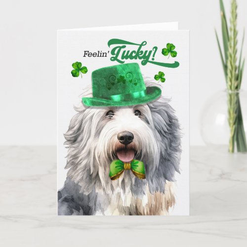 Cute Sheepdog Feelin Lucky St Patricks Day Holiday Card