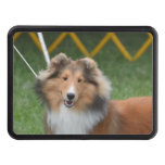 Cute Sheltie Hitch Cover