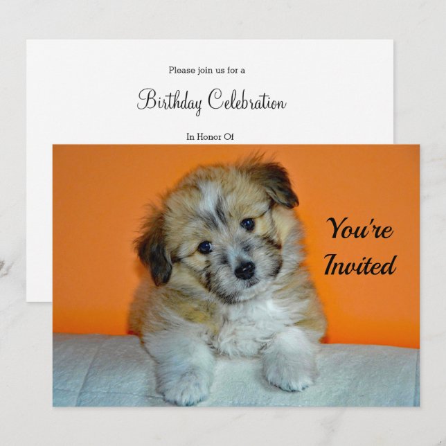 Cute Sheltie Puppy Photo Birthday Invitation (Front/Back)