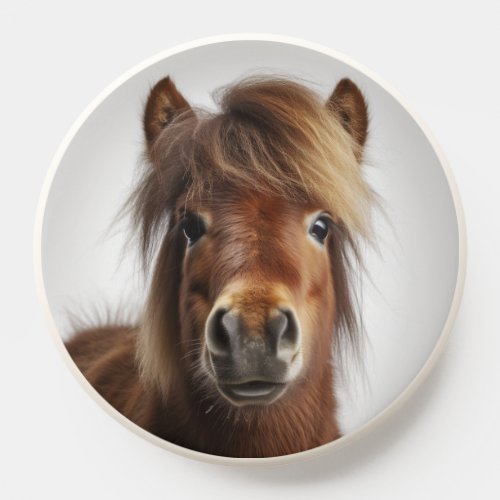 Cute Shetland Pony Equestrian Horse Photo PopSocket