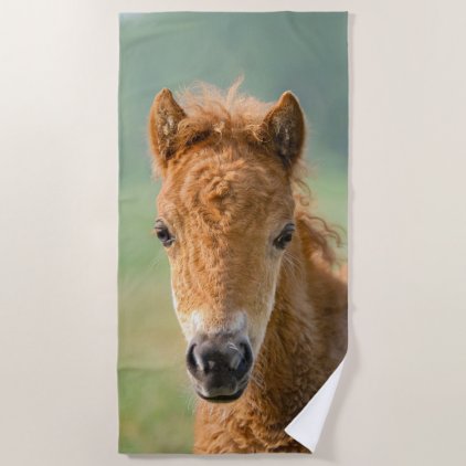 Cute Shetland Pony Foal Horse Head Frontal Photo , Beach Towel