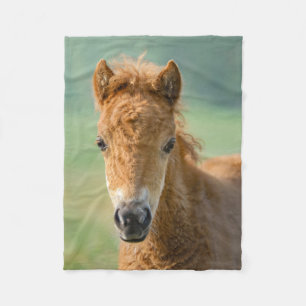 Cute Shetland Pony Foal Horse Head Frontal Photo _ Fleece Blanket