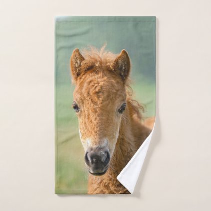 Cute Shetland Pony Foal Horse Head Frontal Photo * Hand Towel