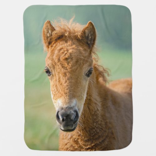Cute Shetland Pony Foal Horse Head Frontal Photo  Swaddle Blanket