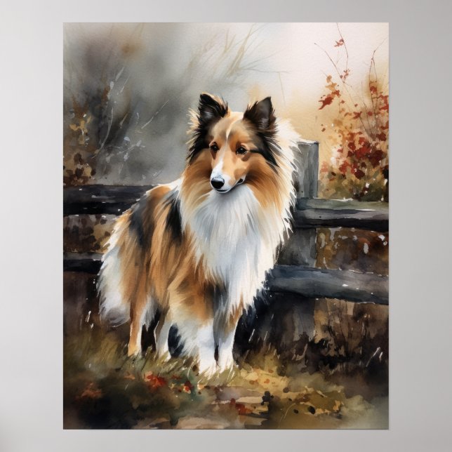 Cute Shetland Sheepdog Dog Art Print Poster (Front)